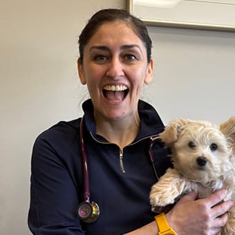 Dr. Pilar Villanueva, Lethbridge Veterinarian
