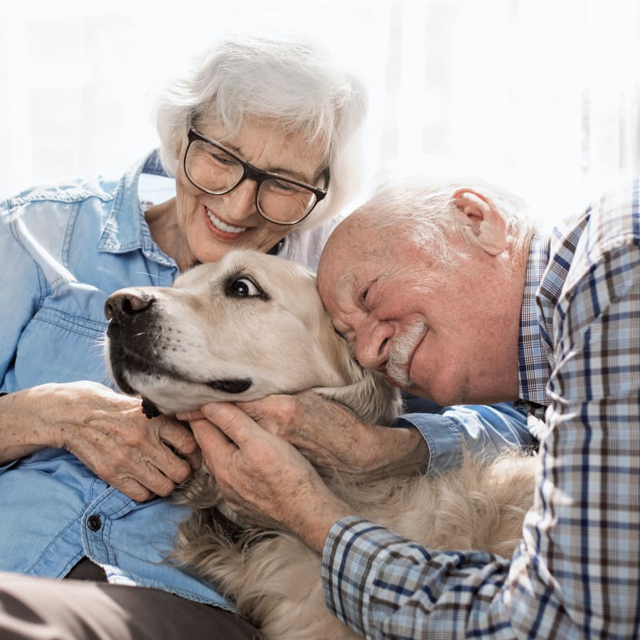 Park Pet Hospital in Lethbridge